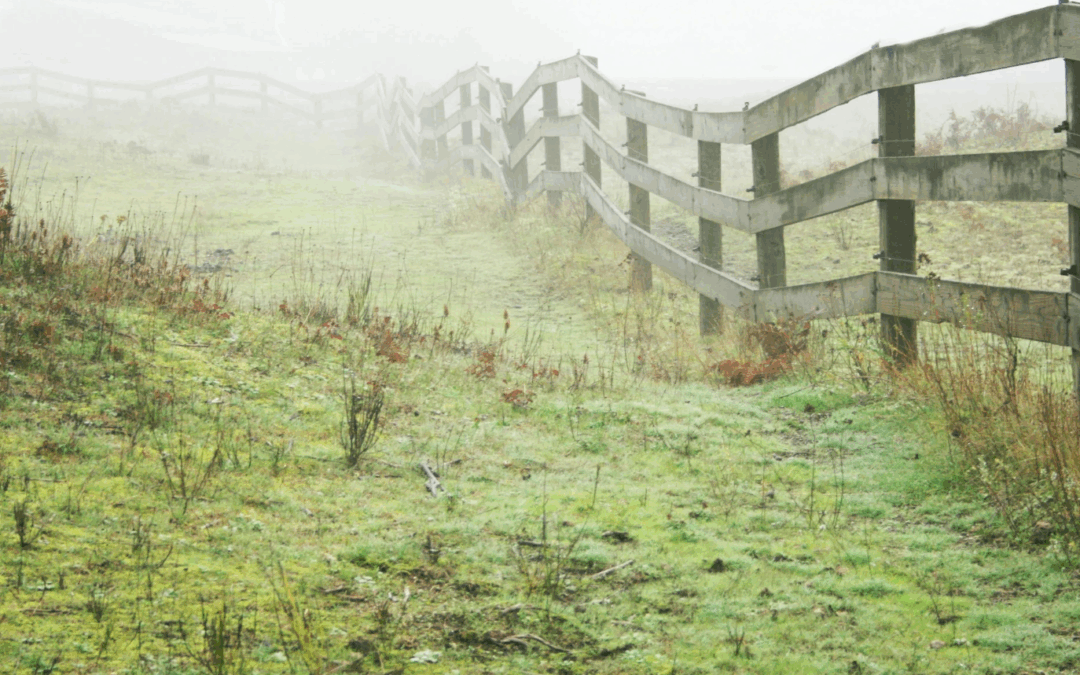 Setting the Boundaries of the Kingdom