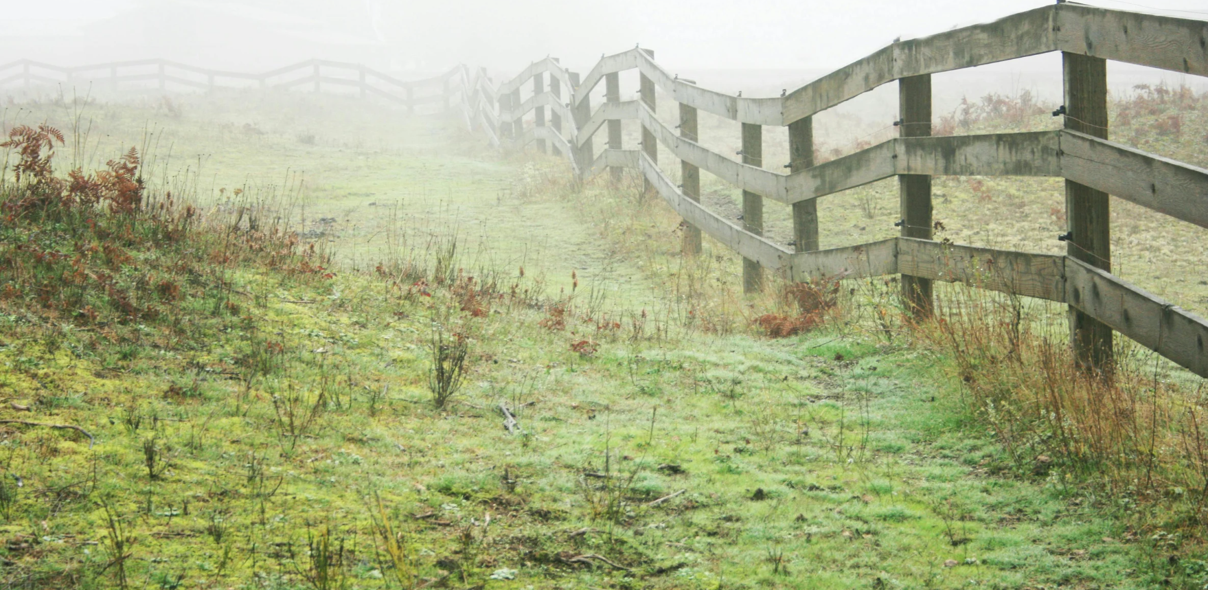 Boundary fence around a field
