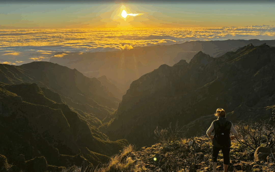 Glimpses of the Kingdom