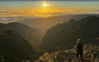 Glimpses of the Kingdom