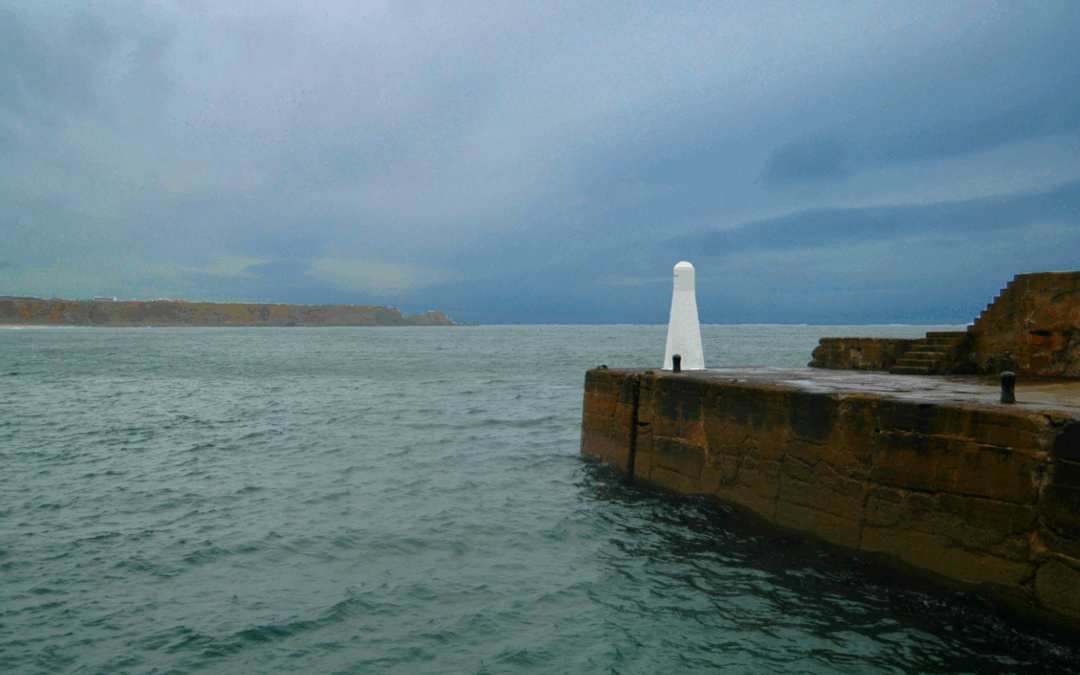 Advent and All of the Things