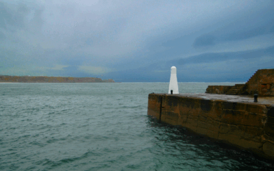 Advent and All of the Things